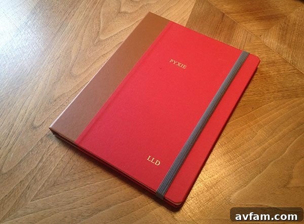 DODOcase Custom iPad Interior