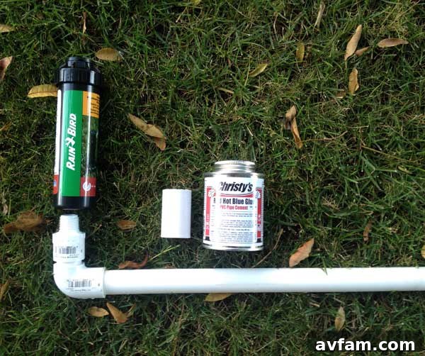 Rain Bird Sprinkler Head and PVC Repair Parts Rain Bird Sprinkler Head and PVC Repair Parts
