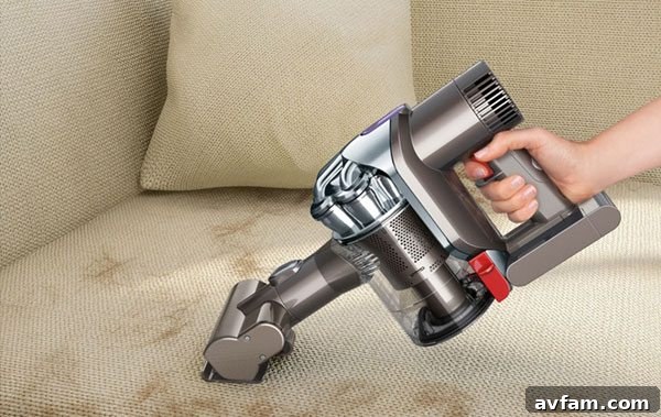 Dyson DC44 Animal tackling pet hair Dyson DC44 Animal effectively picking up pet hair from a floor