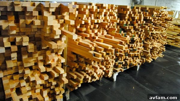 Understanding Hardwoods and Softwoods in Woodworking Hardwoods vs. Softwoods Guide for Woodworking