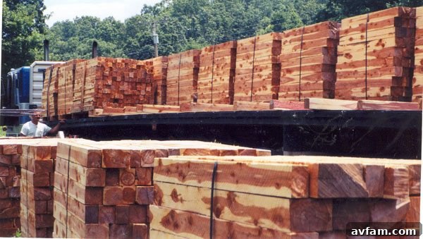 Stacked Cedar Lumber and Logs Cedar Lumber and Logs in a Timber Yard