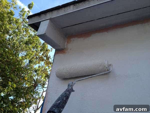 Paint Roller Application Close-up of a paint roller applying Clark + Kensington paint to the stucco garage wall.