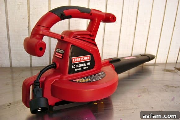 Is the Craftsman Electric Blower Vac a Smart Buy 3 craftsman-blower