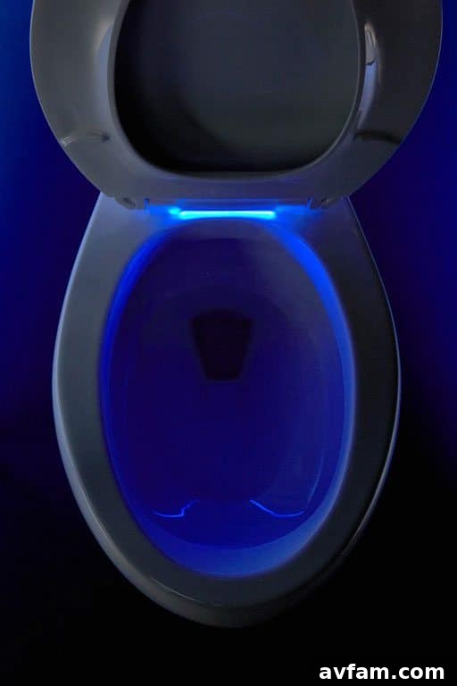 Kohler Nightlight Toilet Seat: A Thoughtful Innovation Kohler Nightlight Toilet Seat: Enhanced Safety and Comfort