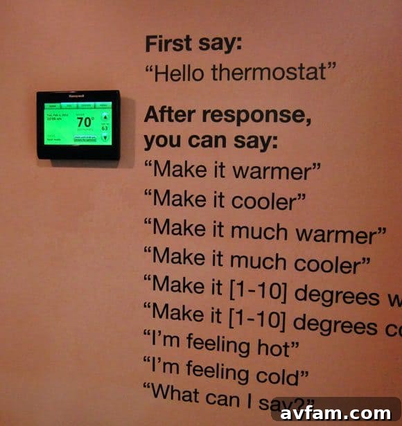 Honeywell Talking Thermostat: Your Home, Your Voice Honeywell Talking Thermostat: Personalized Comfort
