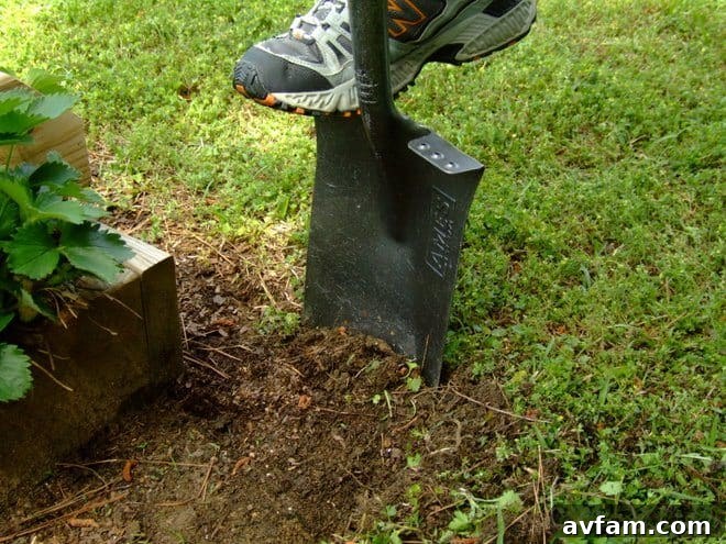 A worker skillfully using an AMES border spade in a lush garden bed, showcasing ergonomic design and precision