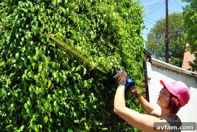Trimming the Hedge