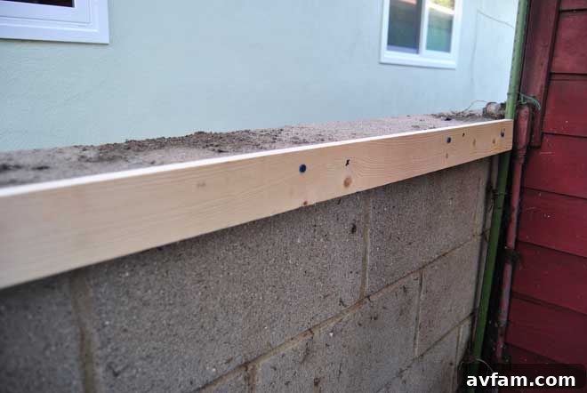 Furring Strips in Place Furring Strips Secured to Brick Wall
