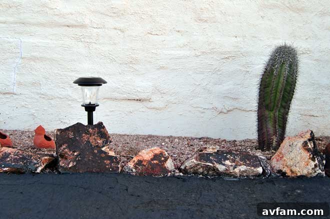 Landscape Lighting in Caliche Soil Stunning landscape lighting illuminating a caliche-rich desert garden at night, showcasing effective outdoor design in challenging soil