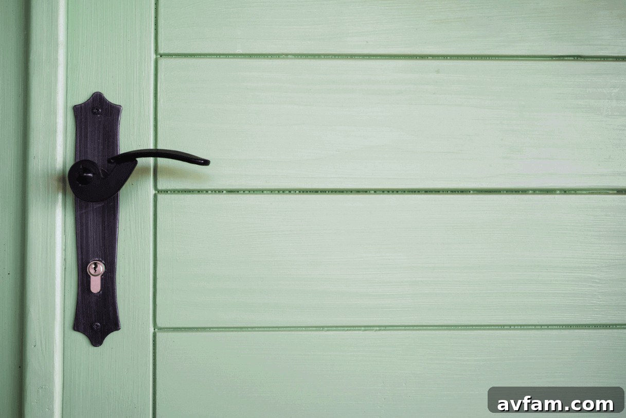 Close-up of a sleek matte black door handle against a light-colored door, highlighting its modern design and striking contrast.