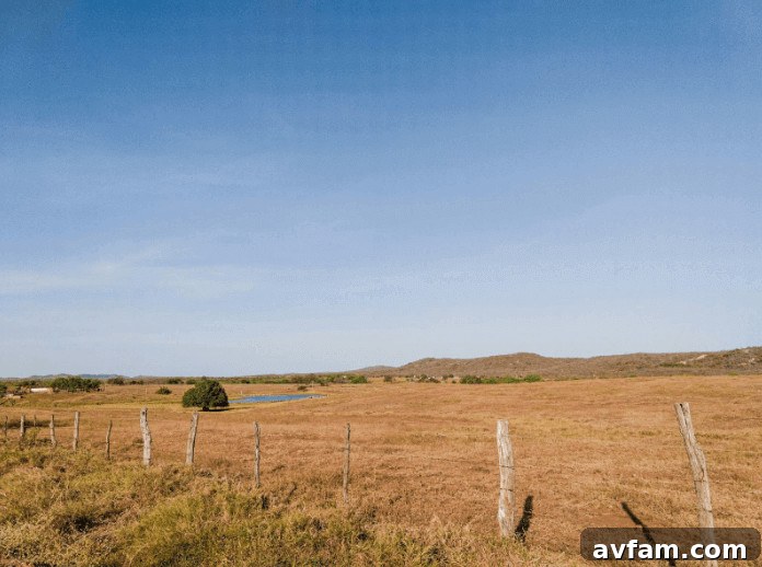 escape the city - serene rural landscape