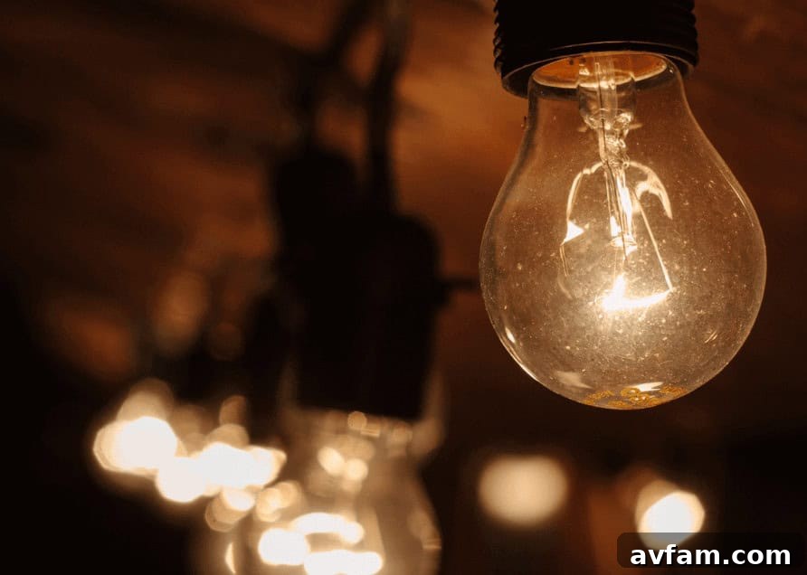 Modern LED Outdoor Light Bulbs Selection Various modern LED outdoor light bulbs showcasing different designs, wattages, and color temperatures, ready for installation.