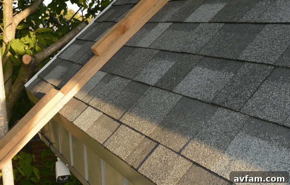 damaged shingles