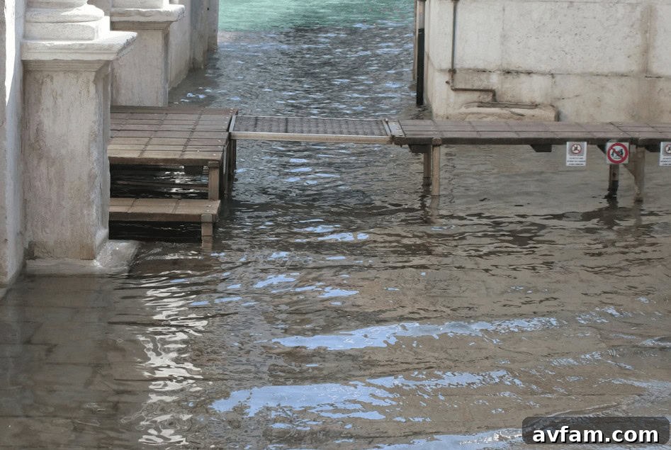 Understanding the profound impact of flooding on a property's structural and interior elements is crucial for effective recovery. flooding