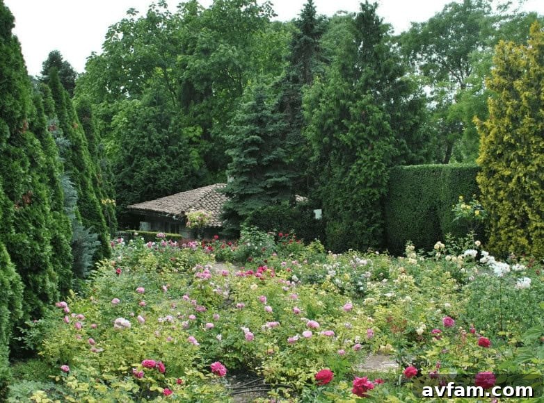 Diverse modern garden designs and features