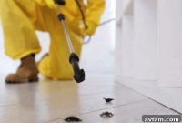 Keep Pests Out Of Your Apartment
