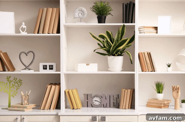 removable shelves