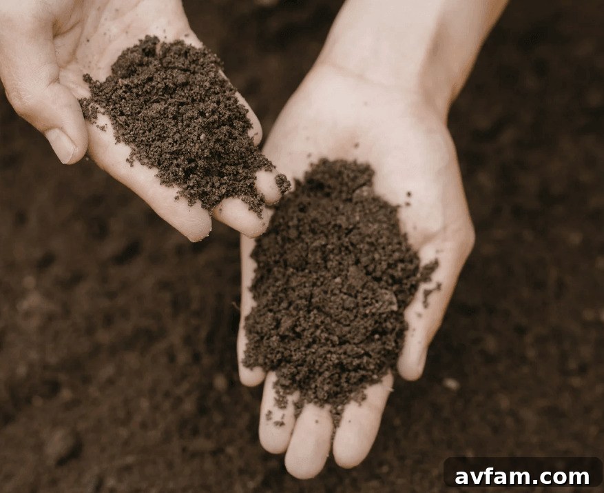 Cultivating a Healthy Mind Through Gardening good for your mind