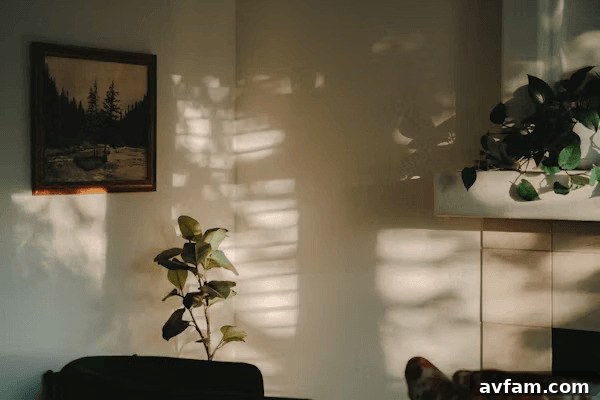 a living room with a couch and a potted plant