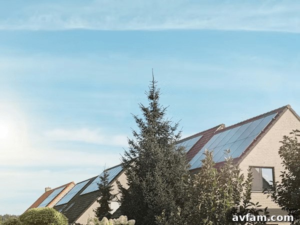 Newly built homes with solar panels on roofs, showcasing modern energy solutions.