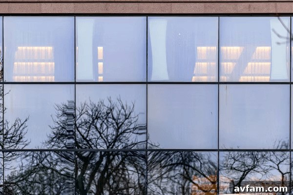 Reflection of trees in building windows demonstrating shading