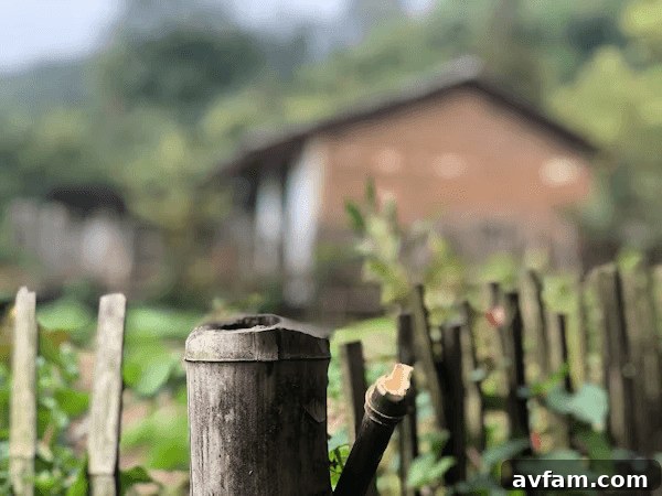 A tidy garden with a fence, suitable