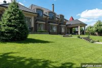 Sustainable Yard Upgrades for a Greener, Healthier Outdoor Space