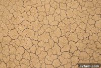 Core Aeration or Liquid Aeration for Clay Soil in North Dallas, TX