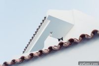 Choosing the Right Residential Roofing Material for Your Home