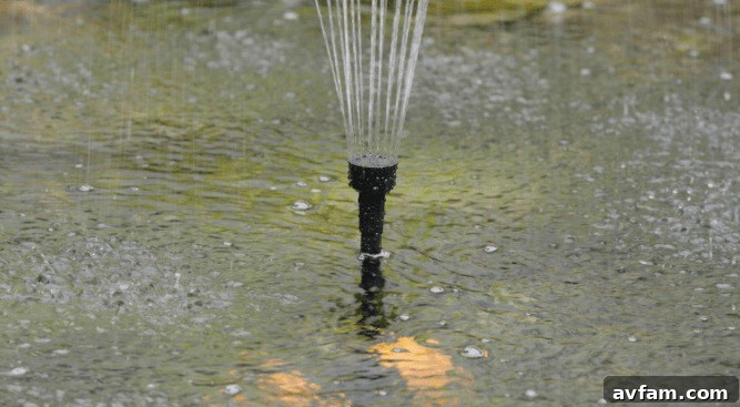 A close-up of a solar pond filter box showing the filter media inside.