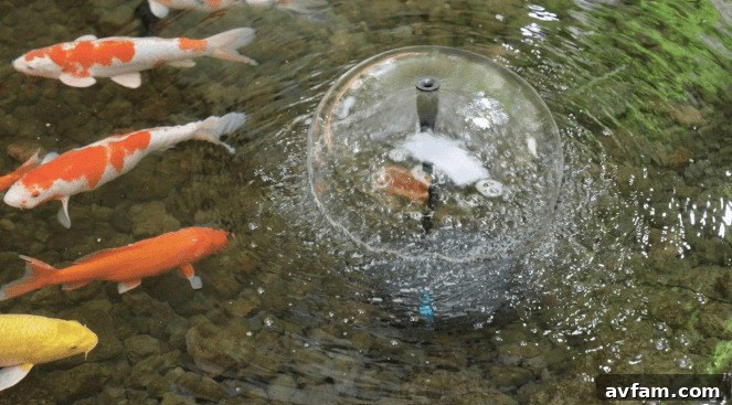 A small, clear pond with koi fish swimming, an ideal candidate for a properly sized solar filter pump.