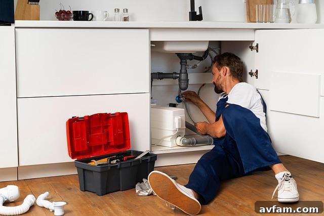 plumber providing professional service