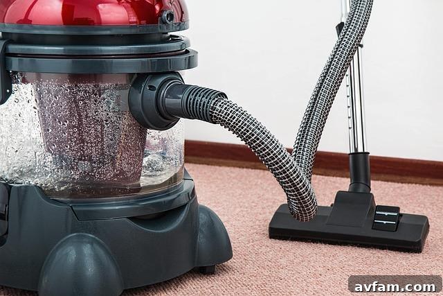 professional carpet cleaning