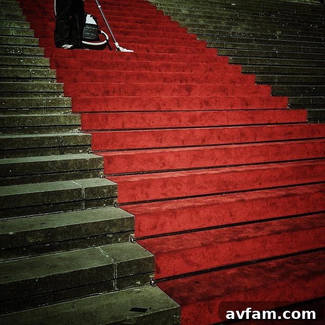 carpet cleaning