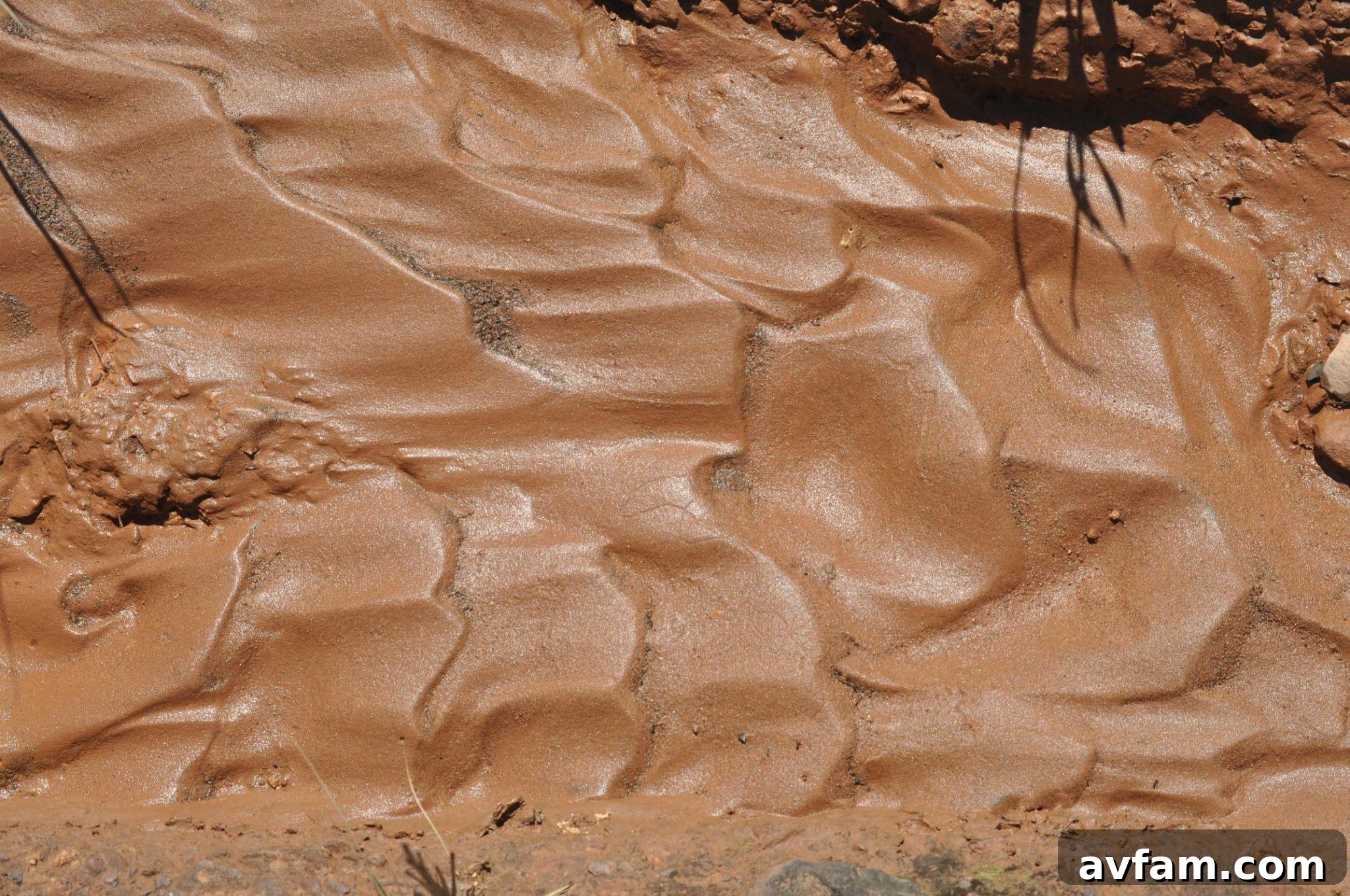 Core Aeration vs Liquid Aeration: for Clay Soil