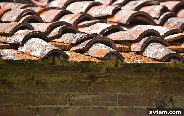 Roof Leaks and Water Damage