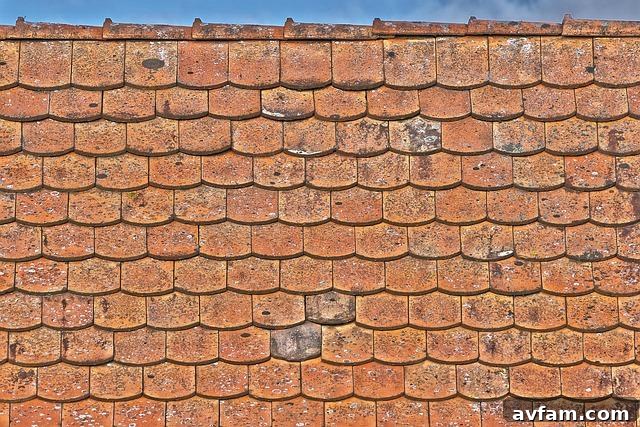 Roof Replacement Costs
