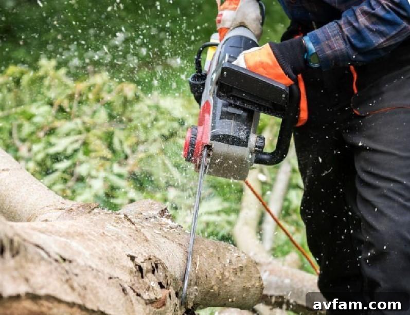 Choosing the Right Chainsaw Protective Trousers: Buyer's Guide 2 Chainsaw Protective Trousers