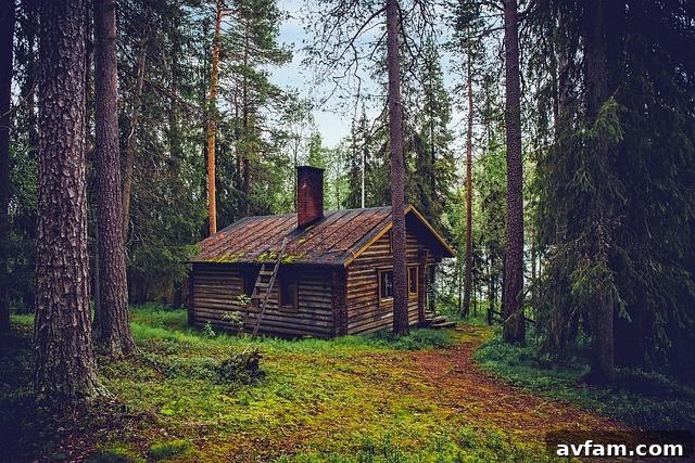 Heating a Cabin Off the Grid: Safe Ways to Stay Warm Without Power 2 How to Heat a Cabin