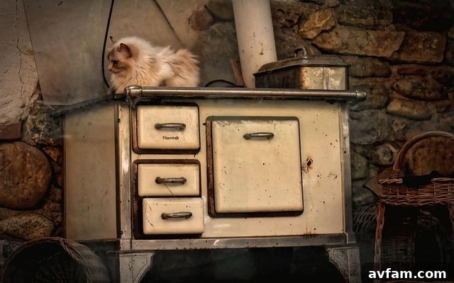 Heating a Cabin Off the Grid: Safe Ways to Stay Warm Without Power 3 how to heat a cabin with wood stove cabin heater
