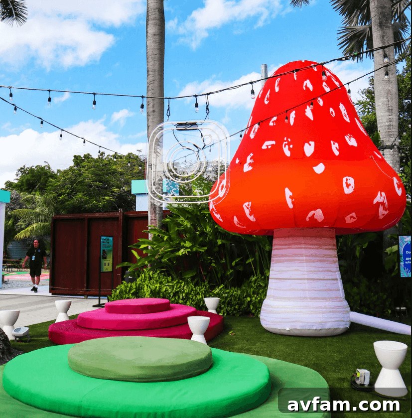 Inflatables for Home, School, or Community Events