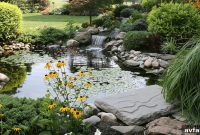 Why Pressurized Pond Filters Are Essential for Clear, Healthy Water
