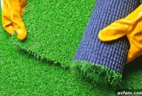 7 Reasons Tempe Homeowners Choose Artificial Turf Over Grass