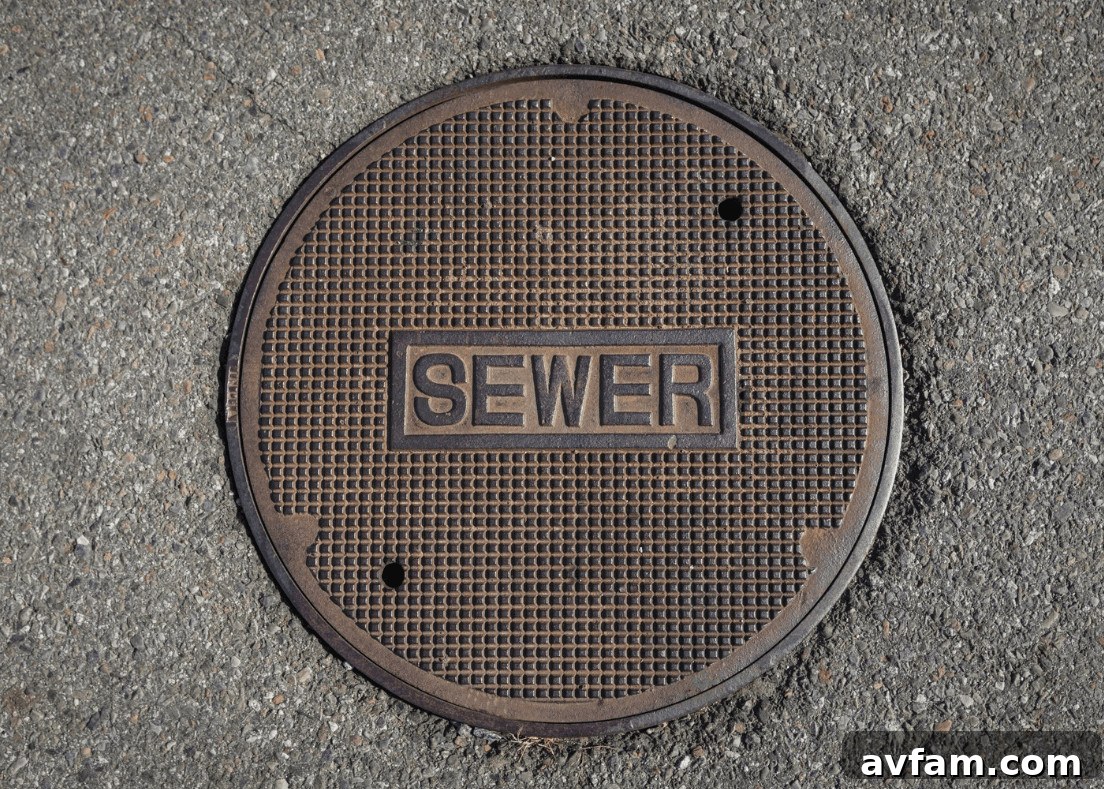 Sewer Bill Charges in Seattle in 2026