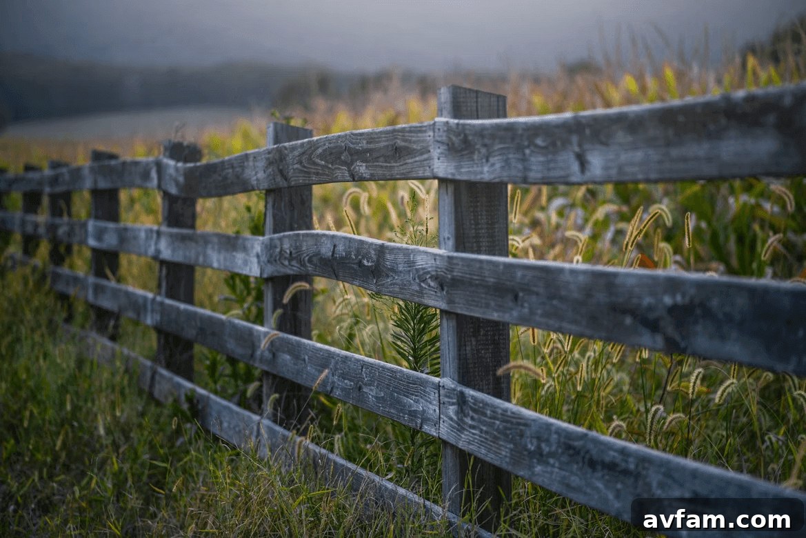 Wooden fence in a field of tall grass