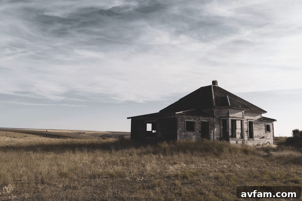 Old run-down house in a field