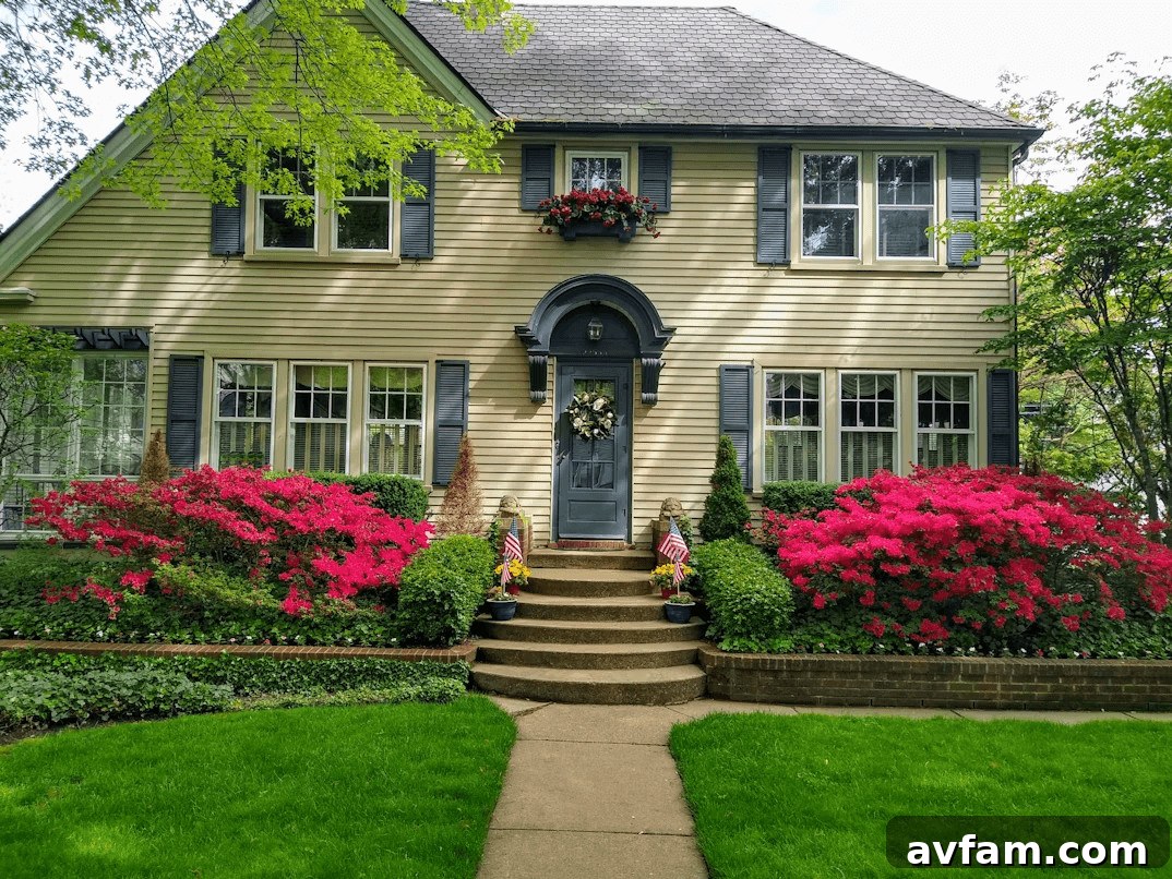 Luxury house with flowers and bushes