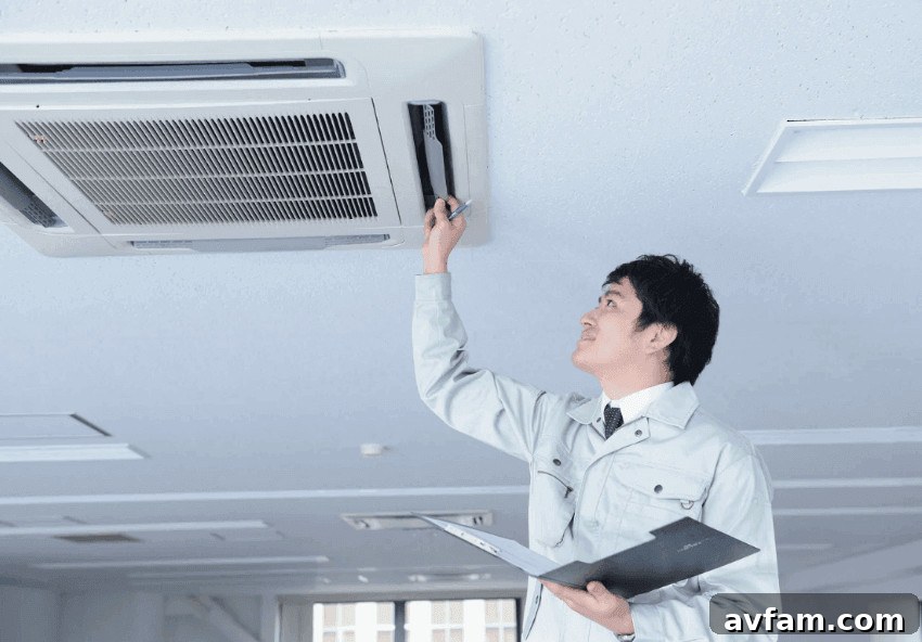 Clean Air Ducts