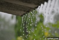 Manage Rainwater Around Your Home to Prevent Septic Issues