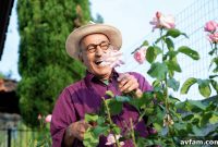Backyard Safety Tips for Aging in Place